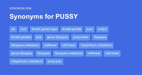 pussy synonyms|pussy .